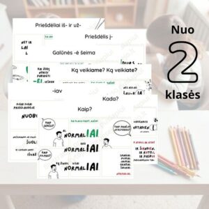 Lietuvių kalbos rašybos taisyklių rinkinys nuo 2 kl. (7 vnt.)