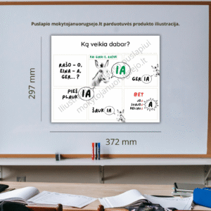Lietuvių kalbos rašybos taisyklių DIDŽIŲJŲ PLAKATŲ rinkinys A3 (14 vnt.)