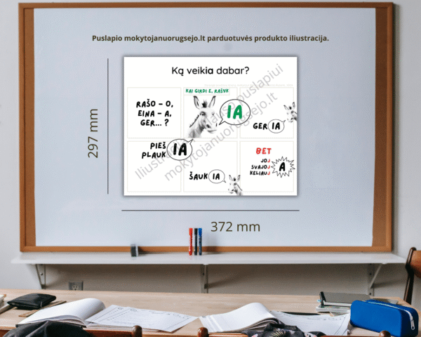 Lietuvių kalbos rašybos taisyklių DIDŽIŲJŲ PLAKATŲ rinkinys A3 (14 vnt.)