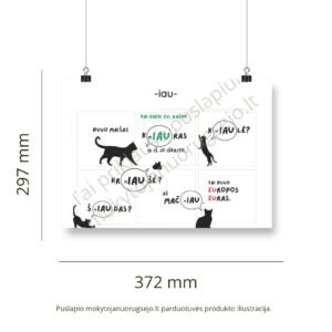 Lietuvių kalbos rašybos taisyklių DIDŽIŲJŲ PLAKATŲ rinkinys (14 vnt.) - Image 8