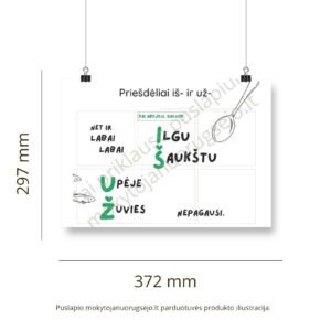 Lietuvių kalbos rašybos taisyklių DIDŽIŲJŲ PLAKATŲ rinkinys (14 vnt.) - Image 12