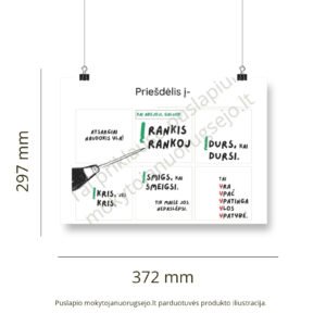 Lietuvių kalbos rašybos taisyklių DIDŽIŲJŲ PLAKATŲ rinkinys (14 vnt.) - Image 13
