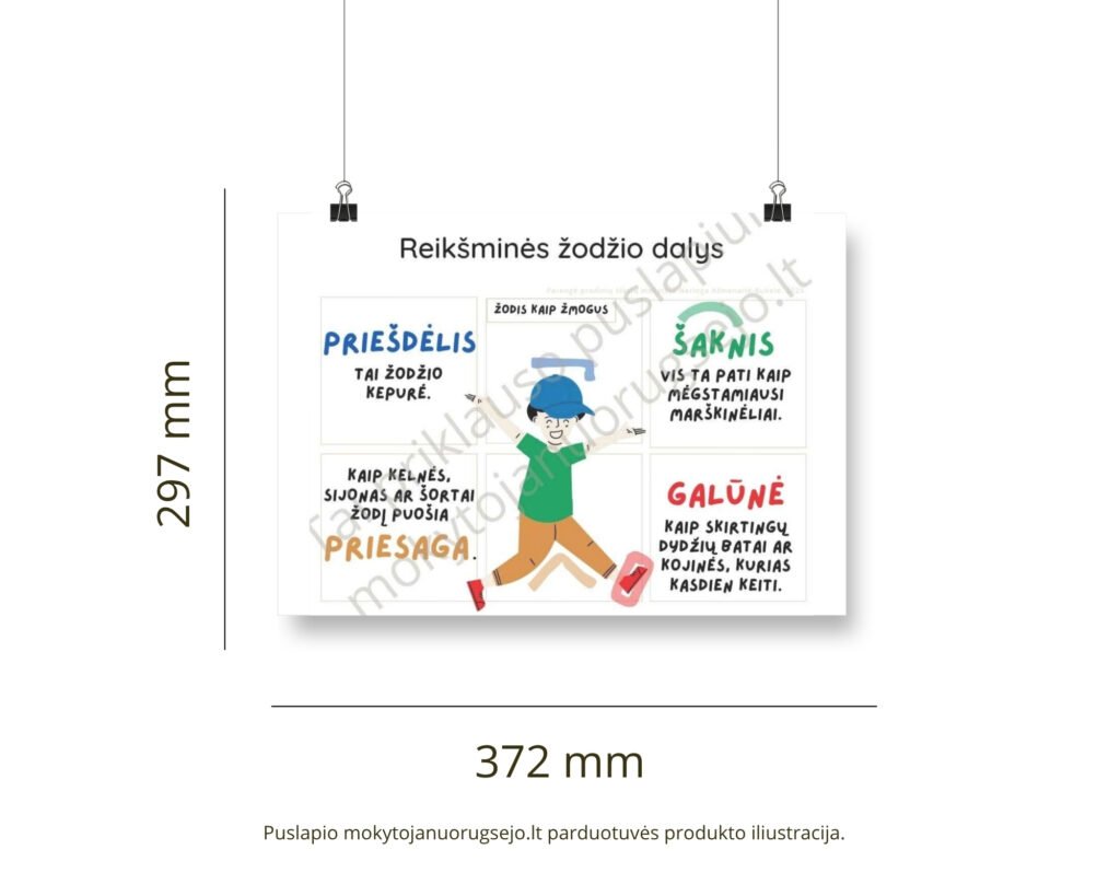 Lietuvių kalbos rašybos taisyklių DIDŽIŲJŲ PLAKATŲ rinkinys (14 vnt.)
