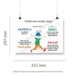 Lietuvių kalbos rašybos taisyklių DIDŽIŲJŲ PLAKATŲ rinkinys (14 vnt.) - Image 15