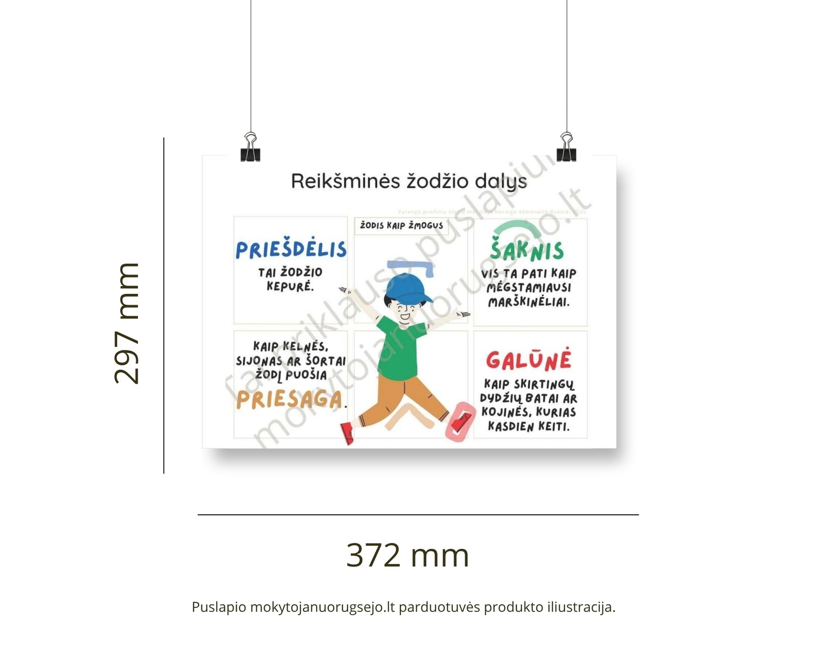 Lietuvių kalbos rašybos taisyklių DIDŽIŲJŲ PLAKATŲ rinkinys (14 vnt.) - Image 15
