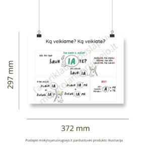 Lietuvių kalbos rašybos taisyklių DIDŽIŲJŲ PLAKATŲ rinkinys (14 vnt.) - Image 3