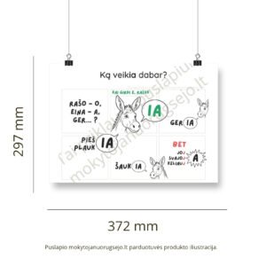 Lietuvių kalbos rašybos taisyklių DIDŽIŲJŲ PLAKATŲ rinkinys (14 vnt.) - Image 2
