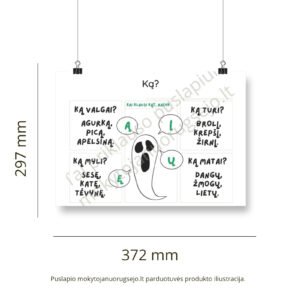 Lietuvių kalbos rašybos taisyklių DIDŽIŲJŲ PLAKATŲ rinkinys (14 vnt.) - Image 10