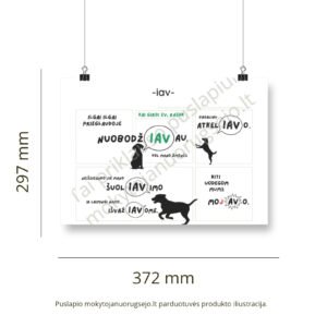 Lietuvių kalbos rašybos taisyklių DIDŽIŲJŲ PLAKATŲ rinkinys (14 vnt.) - Image 9
