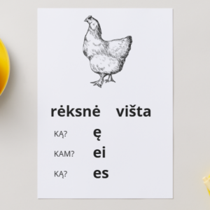 Plakatai būdvardžio ir daiktavardžio junginiams linksniuoti | PDF paruoštukas